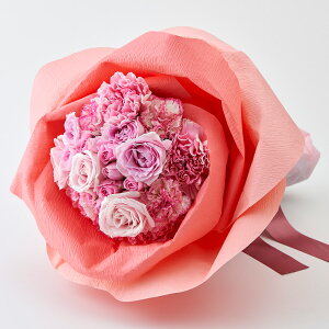 a  ǒ`̉ԑ y^E[UuGKgsNv u[P JԒd v[g LO  oYj LO ސEj   bZ[WJ[h  t