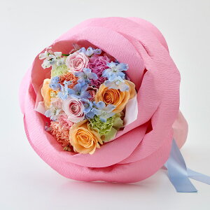 a  ǒ`̉ԑ y^E[UutF~j~bNXv u[P JԒd v[g LO  oYj LO ސEj   bZ[WJ[h  t