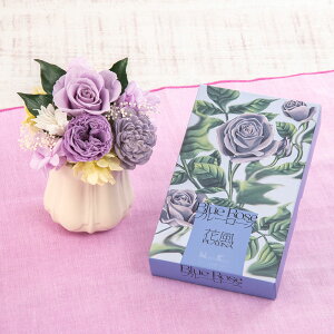   p {uԕPLATINA u[[YvƃvU[uhAWg̃Zbg JԒd @  r ފ      l\ bZ[