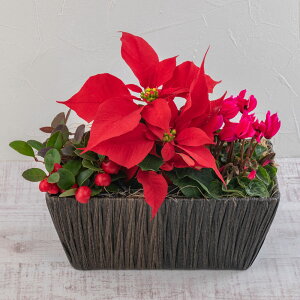 Ԕ Mtg y͂12/20܂Łz{̉Ԕ 񂹓uEB^[~bNXoXPbgv JԒd a  v[g LO oYj LO j ސEj Vzj bZ[