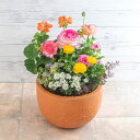 花鉢 ギフト 旬の鉢 季節の寄せ植え 「ナチュラルガーデングランデ」 日比谷花壇 誕生日 花 プレゼント 記念日 出産祝い 結婚記念日 結婚祝い 退職祝い 新築祝い メッセージカード フラワーギフト 誕生日プレゼント