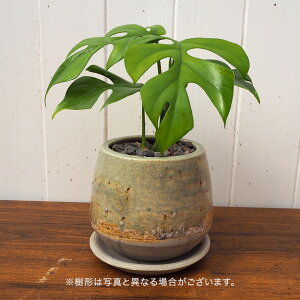 ϗtA qXe JԒd a  v[g CeAO[ p LO Vzj JXj LO ސEj  t[Mtg av[g