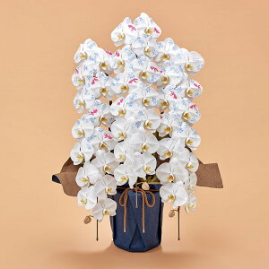 Ԕ Mtg ӒuJԒdfUCi[Yϗ(KIN-GYO)v JԒd a j j JXj Vzj bZ[WJ[h  t[Mtg av[g