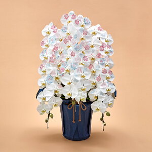 Ԕ Mtg ӒuJԒdfUCi[Yϗ(HANABI)vy^zz JԒd a j j JXj Vzj bZ[WJ[h  t[Mtg av[