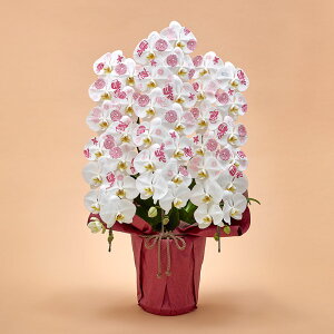 Ԕ Mtg ӒuJԒdfUCi[Yϗ(s)vy^zz JԒd a j j JXj Vzj bZ[WJ[h  t[Mtg av