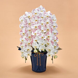 Ԕ Mtg ӒuJԒdfUCi[Yϗ(NANTEN)vy^zz JԒd a j j JXj Vzj bZ[WJ[h  t[Mtg av[