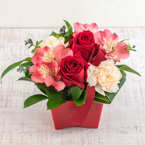 a  AWgu܂ bhn ~fBAv JԒd v[g LO  oYj LO ސEj   bZ[WJ[h t[Mtg av