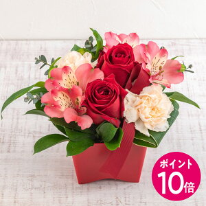 }\|Cg10{a  AWgu܂ bhn ~fBAv JԒd v[g LO  oYj LO ސEj   bZ[W