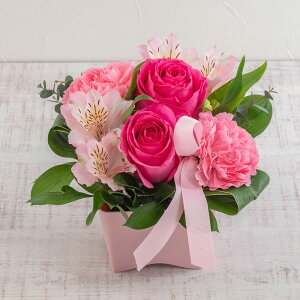 a  AWgu܂ sNn ~fBAv JԒd v[g LO  oYj LO ސEj   bZ[WJ[h t[Mtg av