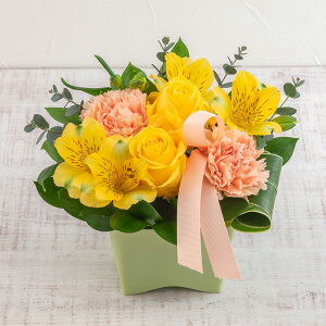 a  AWgu܂ IWCG[n ~fBAv JԒd v[g LO  oYj LO ސEj   bZ[WJ[h t[Mtg 