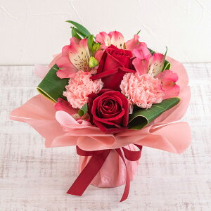 a  ̂܂܏u[Pu܂ bhnv JԒd v[g LO  oYj LO ސEj   bZ[WJ[h t[Mtg av[