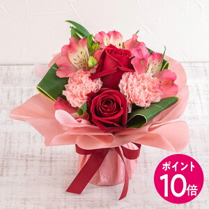 }\|Cg10{a  ̂܂܏u[Pu܂ bhnv JԒd v[g LO  oYj LO ސEj   bZ[WJ[