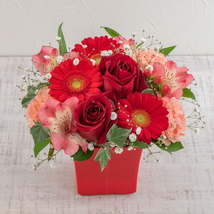 a  AWgu܂ bhn [Wv JԒd v[g LO  oYj LO ސEj   bZ[WJ[h  t[Mtg a