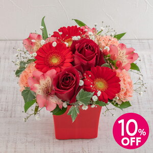 a  AWgu܂ bhn [Wv JԒd v[g LO  oYj LO ސEj   bZ[WJ[h  t[Mtg a