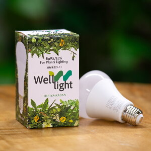 A琬pLEDd Well light 3K F(1) JԒd v[g LO oYj LO ސEj   bZ[WJ[h  t[Mtg av[g