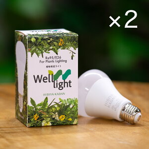 A琬pLEDd Well light 3K F(2) JԒd v[g LO oYj LO ސEj   bZ[WJ[h  t[Mtg av[g