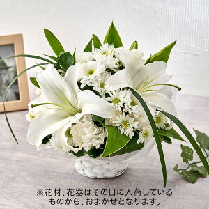   p ܂AWguzCgnv JԒd    @  r ފ      ʎ ʖ l\ bZ[WJ[
