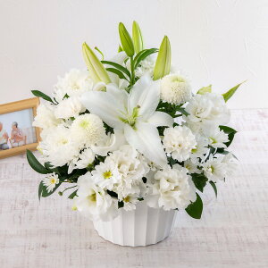   p AWguv JԒd    @  r ފ      ʎ ʖ l\ bZ[WJ[h 