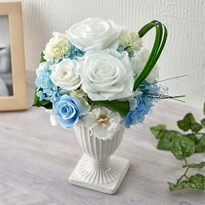   p vU[uhA[eBtBVAWguVGv JԒd vU[uht[ A[eBtBVt[    @  r 