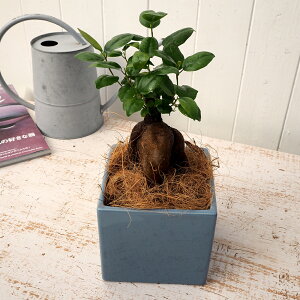 ϗtAulQKW}XNGA(S) v JԒd a  v[g CeAO[ p LO Vzj JXj LO ސEj t[Mtg av[g