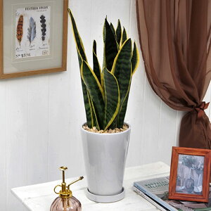 ϗtAuTXxAvzCg|bg JԒd a  v[g CeAO[ p LO Vzj JXj LO ސEj  t[Mtg av