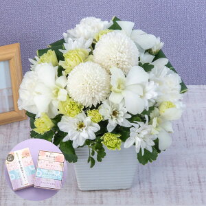   p t AWguvW[uv JԒd    @  r ފ      ʎ ʖ l\ bZ[WJ[h 