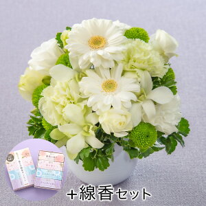   p t AWguX[Wv JԒd    @  r ފ      ʎ ʖ l\ bZ[WJ[h 