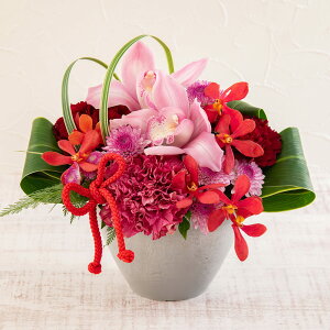 a  AWgugv JԒd v[g AWgt[ LO  oYj LO ސEj   bZ[WJ[h  t[Mtg a