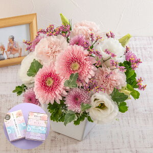   p t AWguHAv JԒd    @  r ފ      ʎ ʖ l\ bZ[WJ[h 