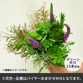 【バイヤー厳選】ボタニカルグリーンセット 日比谷花壇