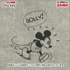 ̂tǎ fBYj[ Disney ~bL[}EX LbY[ qǂ LN^[JWA RN[g |bv Aj hJr sR tH[DIY Yǎ TQcFE76680