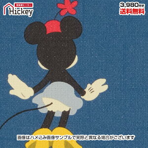 ̂tǎ fBYj[ Disney ~bL[}EX LbY[ qǂ LN^[JWA RN[g |bv Aj hJr sR tH[DIY Yǎ TQcFE76679
