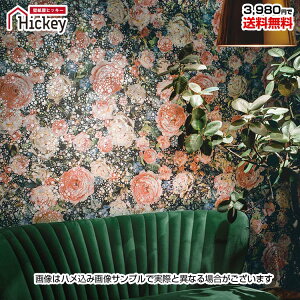 ̂tǎ ԕ t[ {^jJ A t[p^[[sA k p t` K[[ i`hJr TCNLDIY Yǎ VR[BB2719