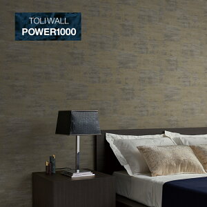 ǎ ̂t  NX DIY  R _ a a x[W n POWER1000 1mPʃJbg̔ hJr sR \ \ւ tH[ WVP8146