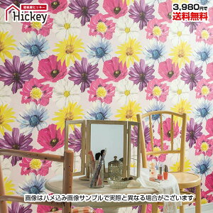 ̂tǎ ԕ t[ Jt {^jJ A t[p^[[sA k p t` K[[ i`hJr TCNLDIY Yǎ VR[BB2716