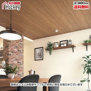 y ̂薳 z ؖ Ebh Vɂ ANZgǎk t`Jg[ AJJg[ JWA JtF Cݕ C_XgAhJr sR tH[DIY TQ