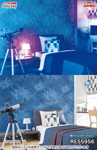 ~ ǎNX TQc RE55954 RE55955 RE55956 яオ̃C~l[Vǎ  h R OK \蒼NX V  gC Lb` ʏ d rO Vbv