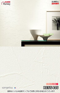 h~jICoAǎ ǎ TQc RE55435 RE55436 jICoAAɂǎ hJr tH[ OK \蒼NX V  gC Lb` ʏ d 