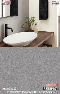 h~jICoA oX^Cv ǎ ǎ TQc RE55494 RE55495 RE55496 jICoAAɂǎ hJr tH[ OK \蒼NX V  gC Lb`