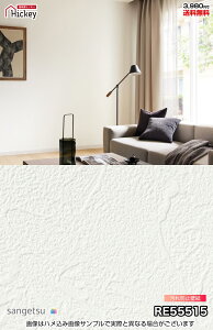 h~jICoA oX^Cv ǎ ǎ TQc RE55515 RE55516 RE55517 RE55518 jICoAAɂǎ hJr tH[ OK \蒼NX V  gC 