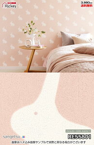 kippisiLbsXj kp^[ ǎ TQc RE55801 RE55802 k eLX^C CXg hJr OK \蒼NX V  gC Lb` ʏ d vdl̐̂t