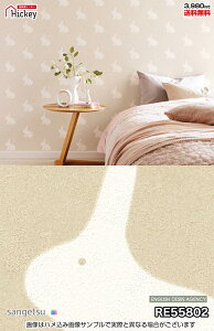 kippisiLbsXj kp^[ ǎ TQc RE55801 RE55802 k eLX^C CXg hJr OK \蒼NX V  gC Lb` ʏ d vdl̐̂t