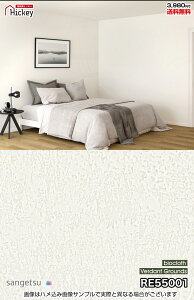 n Ζڒ ǎNX TQc RE55001 RE55002 RE55003 RE55004 RE55005 RE55006 AR̕ǎ oCI}X}[NF h R OK \蒼NX V  gC Lb` ʏ d 