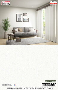 n Ζڒ ǎNX TQc RE55021 RE55036 RE55037 RE55038 G߂̃J[RNV  h R OK \蒼NX V  gC Lb` ʏ d rO Vbv