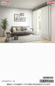 n Ζڒ ǎNX TQc RE55022 RE55047 RE55048 RE55039 G߂̃J[RNV  h R OK \蒼NX V  gC Lb` ʏ d rO Vbv