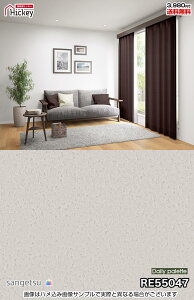 n Ζڒ ǎNX TQc RE55022 RE55047 RE55048 RE55039 G߂̃J[RNV  h R OK \蒼NX V  gC Lb` ʏ d rO Vbv