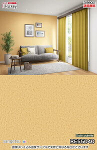 n Ζڒ ǎNX TQc RE55028 RE55040 RE55041 RE55042 G߂̃J[RNV  h R OK \蒼NX V  gC Lb` ʏ d rO Vbv