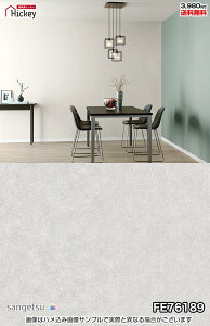  ^ ǎNX TQc FE76189 FE76190 Ζڒ RN[g h OK \蒼NX V  gC Lb` ʏ d rO VbvfUC vdl̐