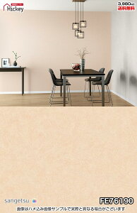  ^ ǎNX TQc FE76189 FE76190 Ζڒ RN[g h OK \蒼NX V  gC Lb` ʏ d rO VbvfUC vdl̐