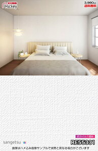 RECX ǎNX TQc RE55331 RE55332 RE55333 RE55334 ECX𕪉ǎ  h R OK \蒼NX V  gC Lb` ʏ d rO Vbvf